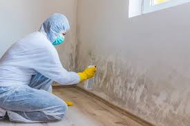 Best Residential Mold Inspection & Testing  in Norwich, NY